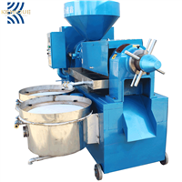 Factory Price Automatic Oil Squeezing Machine Squeezer for the Production of Olive Oil