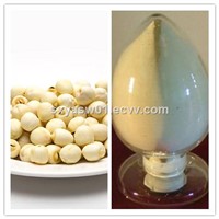 Natural High Quality 10:1 20:1 Lotus Plumule / Seed Extract
