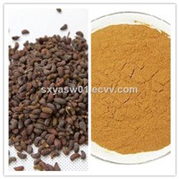 Natural 10:1 Glossy Privet Fruit / Ligustrum Lucidum Extract