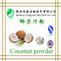 Natural Fruit Juice Coconut Powder, Coconut Milk Powder