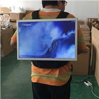 21.5 Inch High Brightness Backpack LCD Advertising Media Player for Outdoor Use