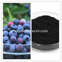 Natural 25% Anthocyanidins Bilberry Extract