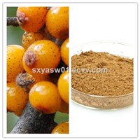 natural high quality Seabuckthorn Juice Powder with high nutrition