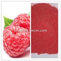 Pure Natural Colouring Raspberry (Juice) Powder