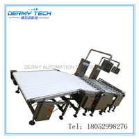 Dynamic Weighing Scale for Food Additives