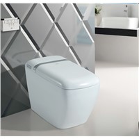 THB 818 One Piece Intelligent Smart Toilet with Warm Seat Auto Open &amp;amp; Close