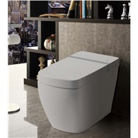 HW501 Luxury Bathroom Auto Lid Instant Heating Smart Intelligent Toilet