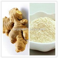 Pure Natural High Quality Ginger Powder for Common Cold