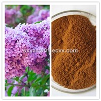 Natural 10:1 20:1 Cloves Extract