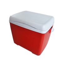 14L Portable Plastic Food Cold Box for Outdoor Picnic