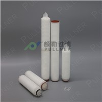 Manufacturer Shanghai PP Pleated Micro Water Filters