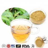 Pure Water Extracted Instant Green Tea Powder