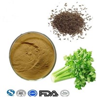 High Quality Natural Plant Extract Celery Seed Extract