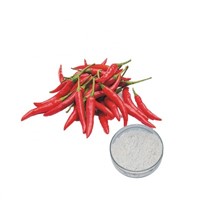 Hot Selling Natural Chili Pepper Extract, Pure Capsaicin 95% - 98%