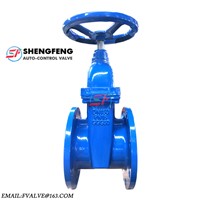 High Quality Low Price Good Paint 300um DN150 PN16 GGG50 F4 Gate Valve Expert In China