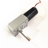 DC Worm Gear Motor with Automatic Door-Lock 24V 30RPM