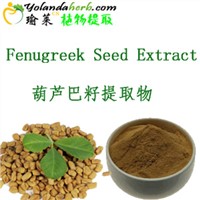 Hot Sale High Quality 100% Pure Proanthocyanidins 95% European Grape Seed Extract
