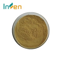 Free Sample Green Coffee Bean Extract Powder