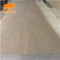 4*8 Pine Face Poplar Core Plywood for Furniture