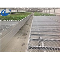 Greenhouse Expanded Metal Mesh Rolling Seedbed/Bench