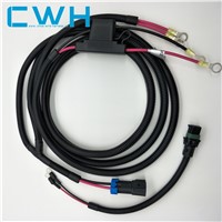 Professional OEM Custom Wire Harness Fuse Holder Automotive R Insulation Terminal Cable Assembly
