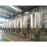 Beer Brewing Equipment 1000L Fermentation Tank