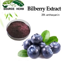 Hot Selling Product Wholesale Top Quality Bilberry Extract