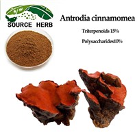 Best Selling Products of Fresh Antrodia Camphorata Extract 15% Polysaccharide Antrodia Cinnamomea