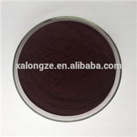 High Quality Bilberry Extract Anothcyanin 25% Herbal Extract