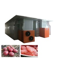 Industrial Air Energy Food Dryer Fruit Drying Machine Fruit Dehydrator