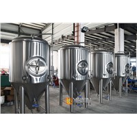 3000l 5000l Commercial Conical Stainless Steel Fermentation Tank