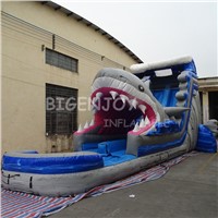 Inflatable Amusement Park Large Adult Inflatable Shark Water Slides for Kids