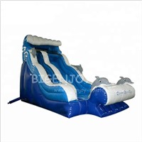 18ft Outdoor Kids Playground Dolphin Splash Pool Water Park Cheap Blow up Air Portable Inflatable Water Slide