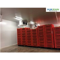Cold Room for Restaurant Supermarket for Storage of Fish Meat Chickne Eggs Chocolates
