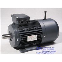 MSB Series Asynchronous Three-Phase Brake Motors with Squirrel Cage Rotor. Direct Current Brake TECHTOP Motor