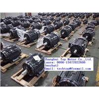 TC Series IE1/IE2/IE3/IE4 Casting Iron Housing Three Phase Electric Motor Techtop Motor