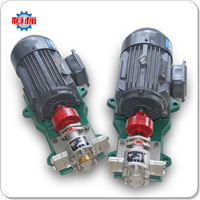 Hengbiao Stainless Steel KCB Electric Motor Vegetable Oil Olive Palm Edible Peanut Oil Food Grade Liquid Transfer Pump