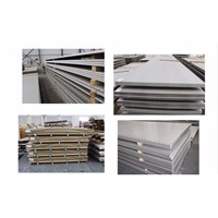 Galvanized Iron Sheets Hot Rolled Iron/Alloy Steel Plate/Coil/Strip/Sheet Ss400, SPHC Black Steel Plate