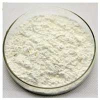 Wholesale High Quality NON-GMO Isolated Soy Protein FP 80/90