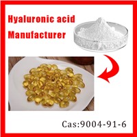 Food Grade Hyaluronic Acid Powder CAS 9004-61-9