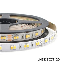SMD2835 Tunable White 120leds/m LED Strip Light