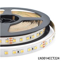 SMD3014 224Leds/m Tunable White LED Strip Light