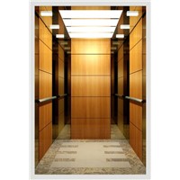 Spacious Luxurious CE Approved Passenger Elevator Lift
