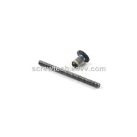 China Factory High Lead Tr12x12 Stainless Steel Lead Screw with Anti-Backlash Nut for CNC Machine