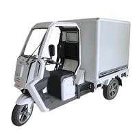 2020 New EEC Approval 2000w Power Adult 3 Wheel Electric Tricycle