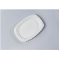 Oval Quality Disposable Biodegradable Tray(Waterproof, Oil-Proof, Fit to Microwave)