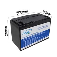 Factory Sales Directly High Capacity 12.8V 100Ah LiFePo4 Battery Pack with BMS for Storage/UPS