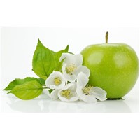 Apple Extract, Apple Polyphenols