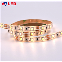 Color Changing White Cct LED Strip 5 Meter/Reel Or Customized