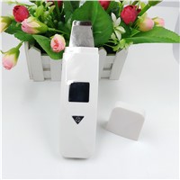 EMS Facial Cleansing Device Ultrasonic Ion Skin Scrubber